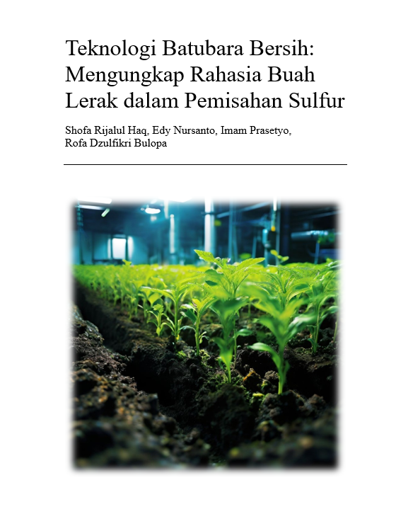 Cover Buku Teknologi Batubara Bersih Mengungkap Rahasia Buah Lerak dalam Pemisahan Sulfur